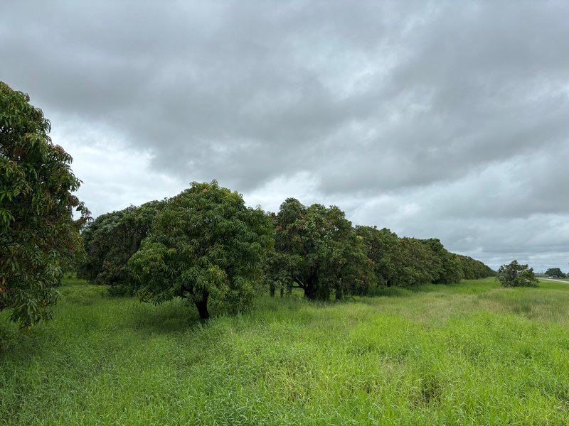 Photo - 425 Bartlett Road, Horseshoe Lagoon QLD 4809 - Image 3