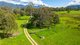 Photo - 425 Mountain Creek Road, Tawonga VIC 3697 - Image 2