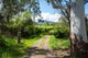 Photo - 425 Mountain Creek Road, Tawonga VIC 3697 - Image 7