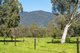 Photo - 425 Mountain Creek Road, Tawonga VIC 3697 - Image 20