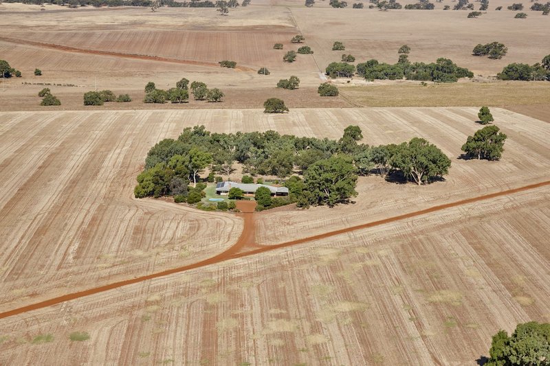 Photo - 4258 Dandaragan Road, Dandaragan WA 6507 - Image 2