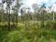 Photo - 426 Mitchell Road, Mount Maria QLD 4674 - Image 22