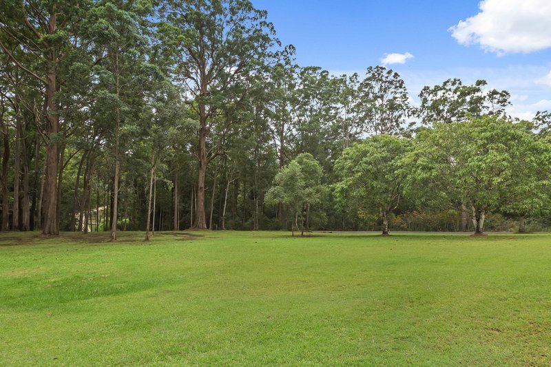 Photo - 427 Cooloolabin Road, Cooloolabin QLD 4560 - Image 8