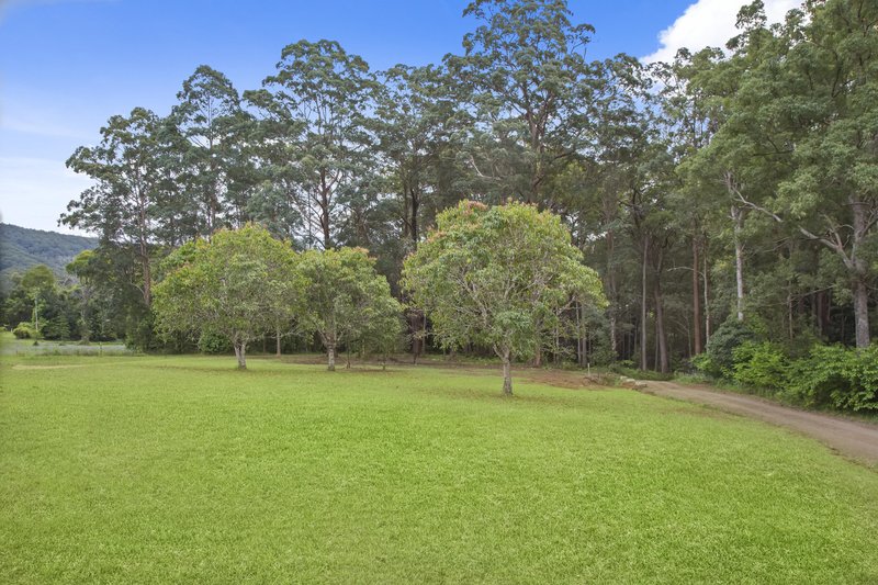 Photo - 427 Cooloolabin Road, Cooloolabin QLD 4560 - Image 29