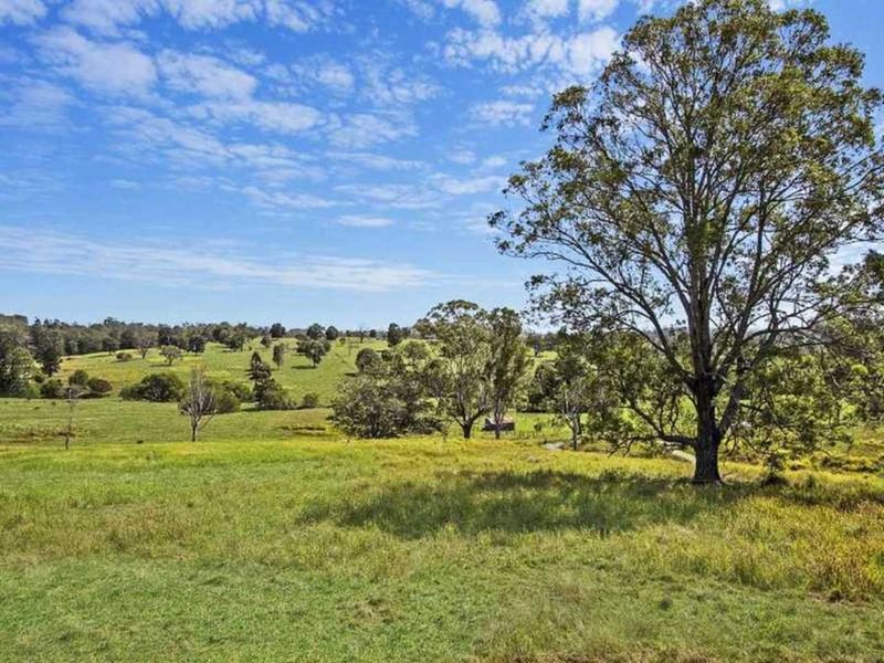 Photo - 427 Flagstone Creek Rd , Mundoolun QLD 4285 - Image 8