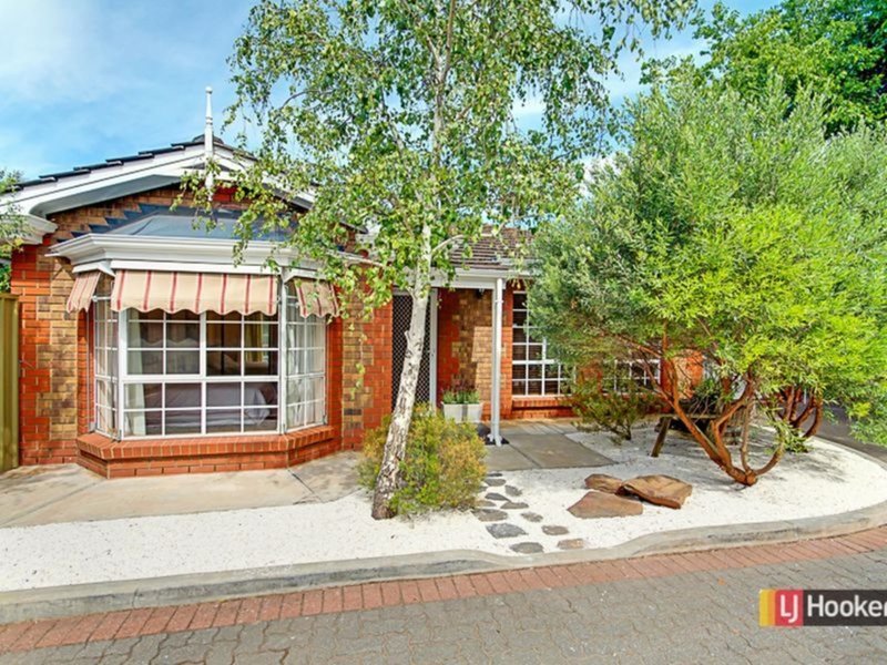 4/27 Williams Avenue, St Morris SA 5068