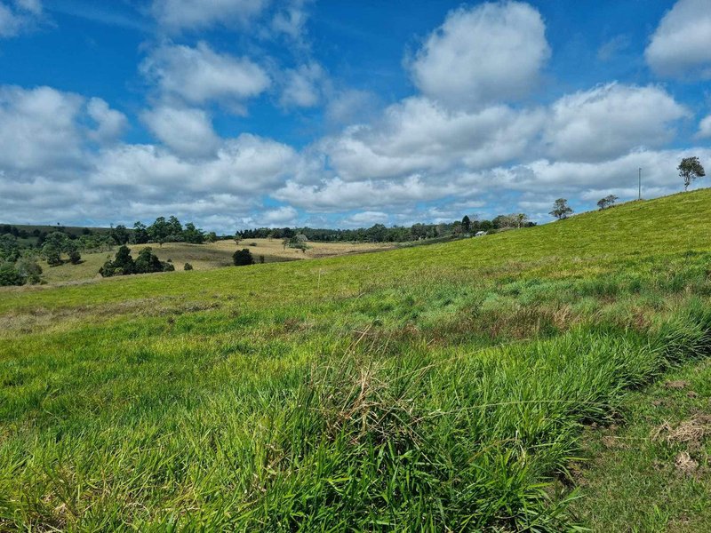 Photo - 428 Powley Road, Barrine QLD 4872 - Image 7