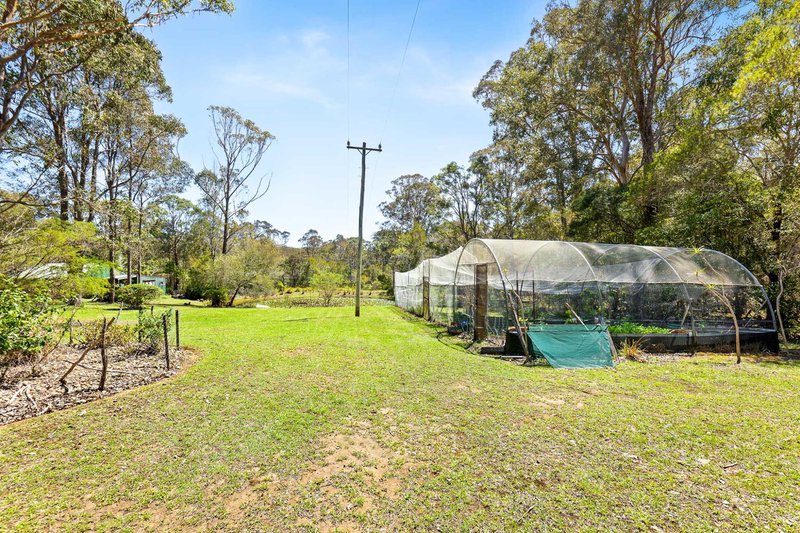 Photo - 429 Bingie Road, Bingie NSW 2537 - Image 18