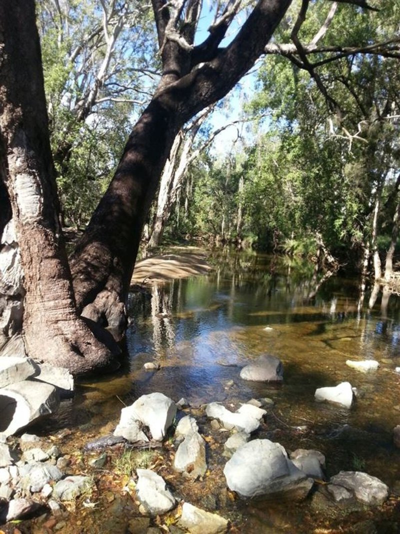 Photo - 429 Shannonvale Road, Bowen QLD 4805 - Image 5