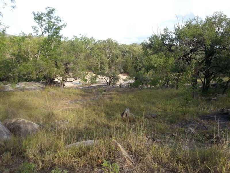 Photo - 429 Shannonvale Road, Bowen QLD 4805 - Image 8