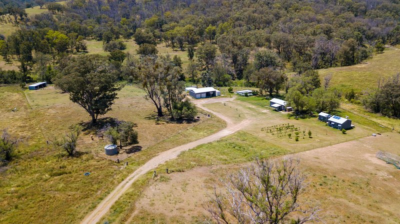 Photo - 4291 Halls Creek Road, Bendemeer NSW 2355 - Image 13