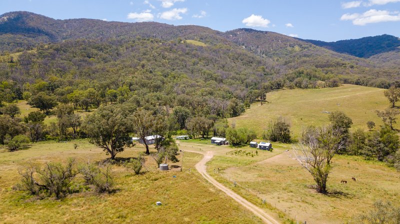 Photo - 4291 Halls Creek Road, Bendemeer NSW 2355 - Image 16