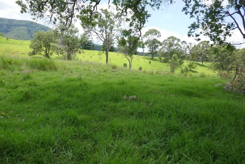 Photo - 4294 Summerland Way, Kyogle NSW 2474 - Image 25