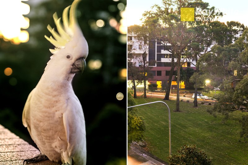 Photo - 429/7 Washington Avenue, Riverwood NSW 2210 - Image 10