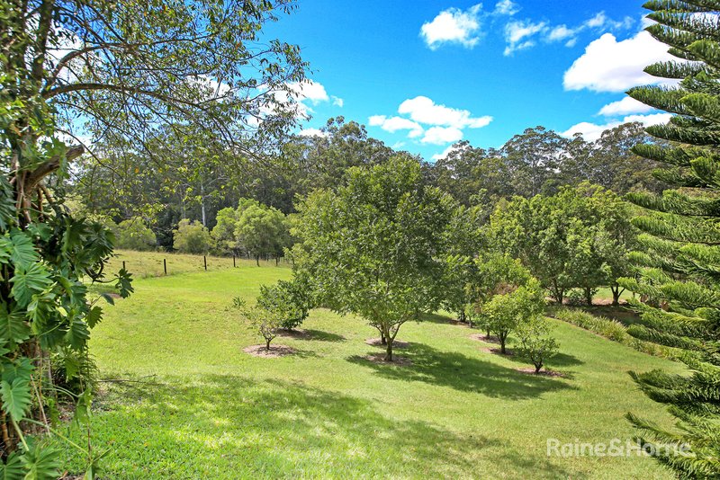 Photo - 42a Black Mountain Road, Black Mountain QLD 4563 - Image 3