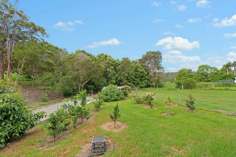 Photo - 42A Graham Street, Kendall NSW 2439 - Image 13