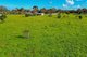 Photo - 42A Williams Road, Two Wells SA 5501 - Image 15