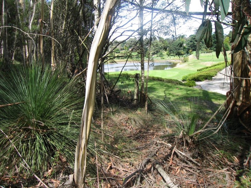 Photo - 43-45 Hargraves Street, Blackheath NSW 2785 - Image 2