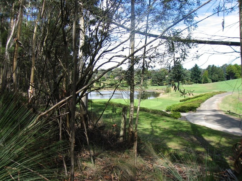 Photo - 43-45 Hargraves Street, Blackheath NSW 2785 - Image 3