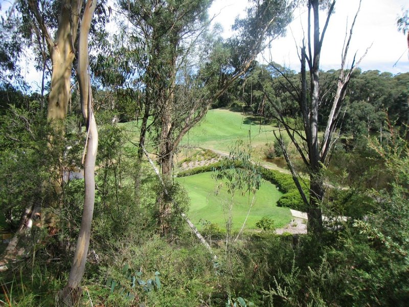 Photo - 43-45 Hargraves Street, Blackheath NSW 2785 - Image 4