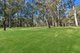 Photo - 43-45 Mount Mee Road, D'Aguilar QLD 4514 - Image 14