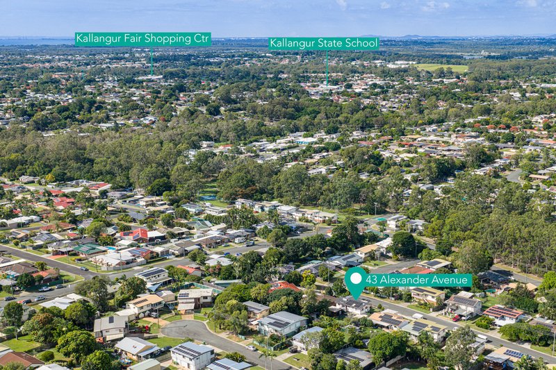 Photo - 43 Alexander Avenue, Kallangur QLD 4503 - Image 24
