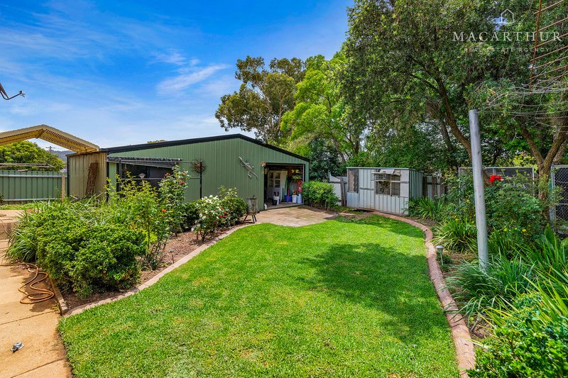 Photo - 43 Alexander Street, Ashmont NSW 2650 - Image 4