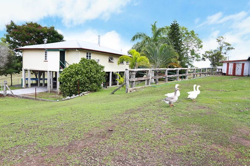 Photo - 43 Baker Road, Calliope QLD 4680 - Image 18