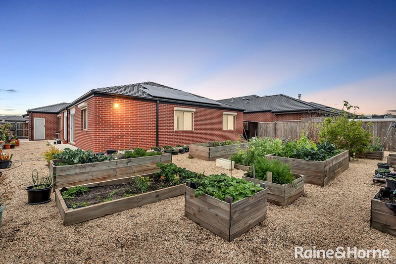 Photo - 43 Balmain Road, Mickleham VIC 3064 - Image 17