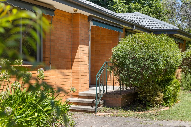 Photo - 43 Batchelor Street, Torrens ACT 2607 - Image 16