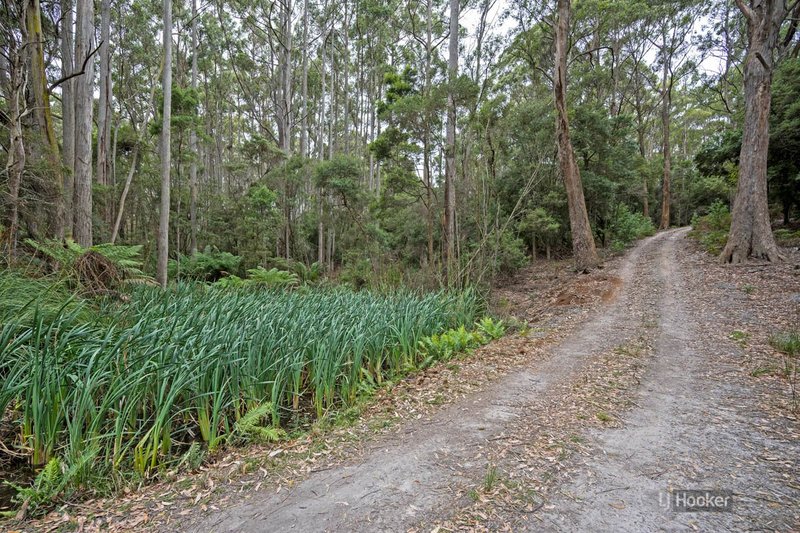 Photo - 43 Boat Harbour Siding Road, Boat Harbour TAS 7321 - Image 4