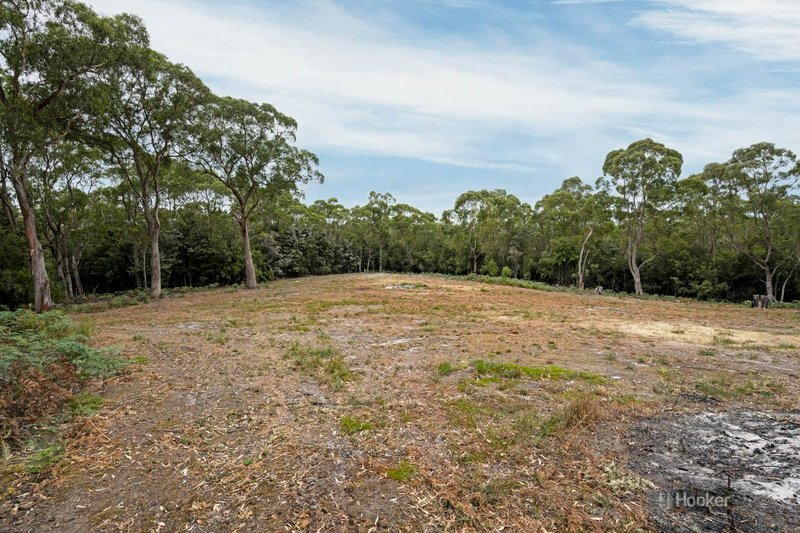 Photo - 43 Boat Harbour Siding Road, Boat Harbour TAS 7321 - Image 9