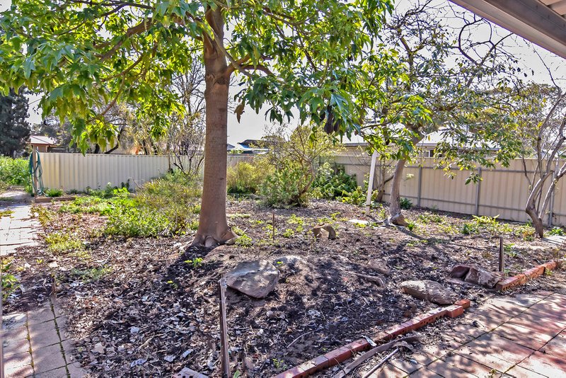 Photo - 43 Borrow Street, Freeling SA 5372 - Image 14