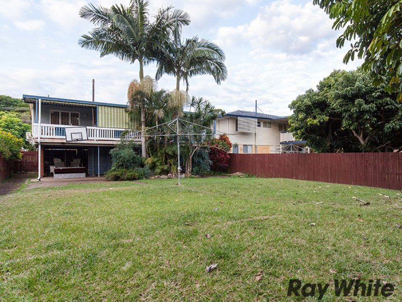 Photo - 43 Camelia Avenue, Everton Hills QLD 4053 - Image 4