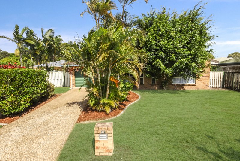 Photo - 43 Canterbury Street, Bracken Ridge QLD 4017 - Image 23