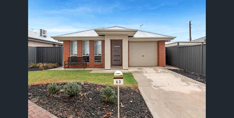 Photo - 43 Clare Mews, Munno Para West SA 5115 - Image 1