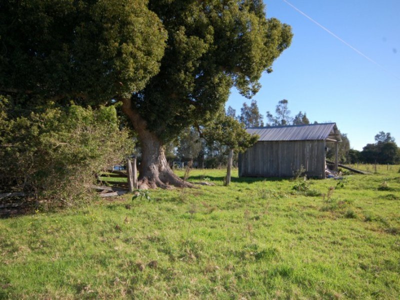 Photo - 43 Clunes Lane, Coopernook NSW 2426 - Image 11