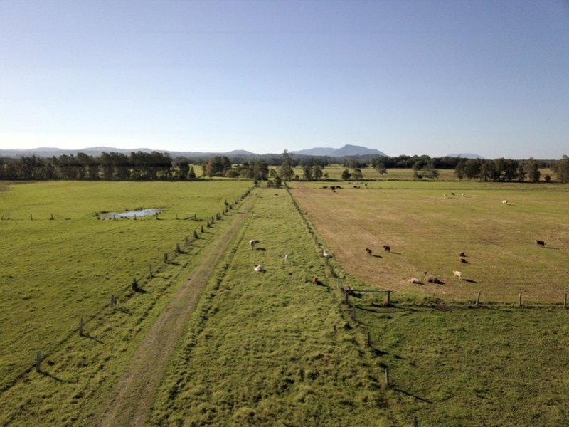 Photo - 43 Clunes Lane, Coopernook NSW 2426 - Image 25