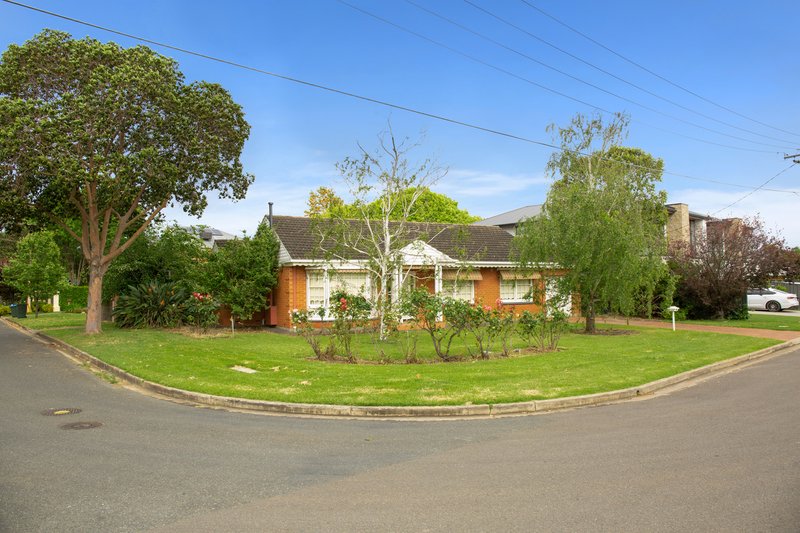 Photo - 43 Fife Street, Vale Park SA 5081 - Image 16