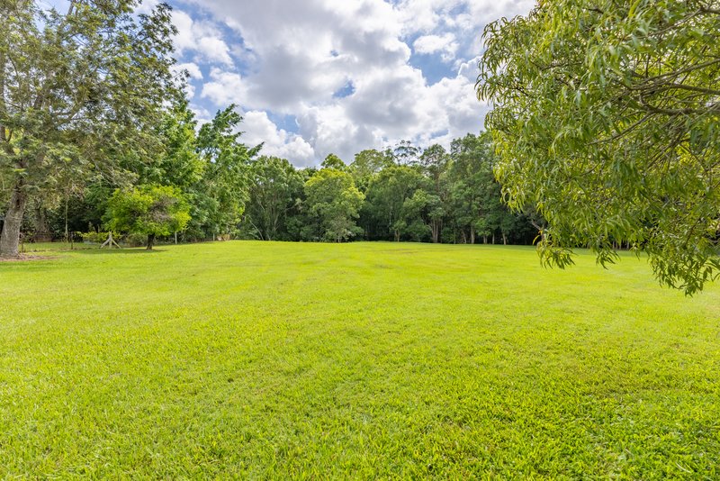 Photo - 43 Forestcreek Place, Wamuran QLD 4512 - Image 4