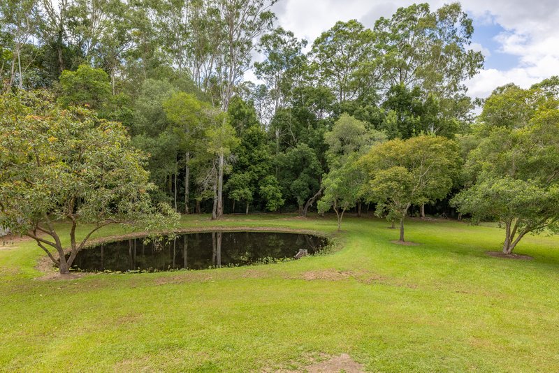 Photo - 43 Forestcreek Place, Wamuran QLD 4512 - Image 5