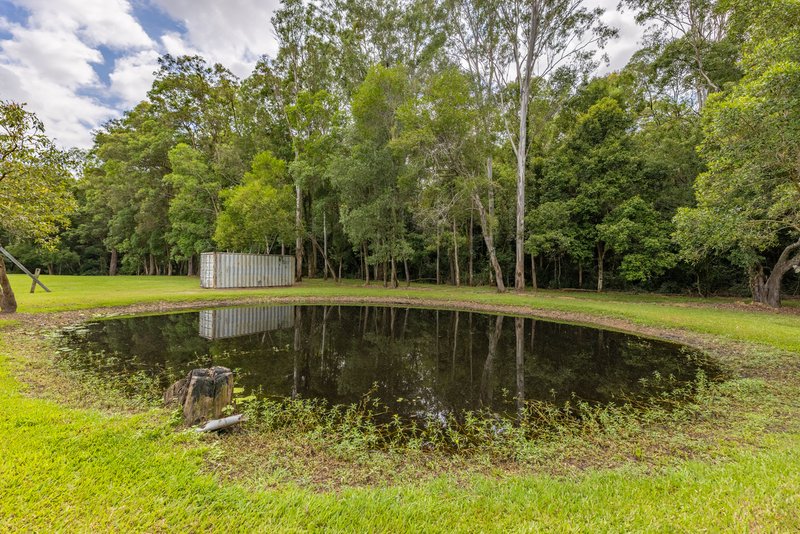 Photo - 43 Forestcreek Place, Wamuran QLD 4512 - Image 6