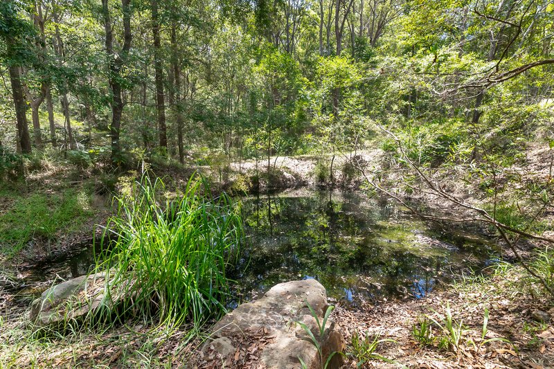 Photo - 43 Foxtail Rise, Doonan QLD 4562 - Image 25