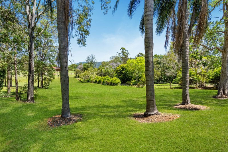 Photo - 43 Greenwood Crescent, Samford Valley QLD 4520 - Image 4