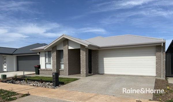 43 Hollow Drive, Andrews Farm SA 5114