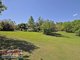 Photo - 43 Honeywood Ct , Samford Valley QLD 4520 - Image 21