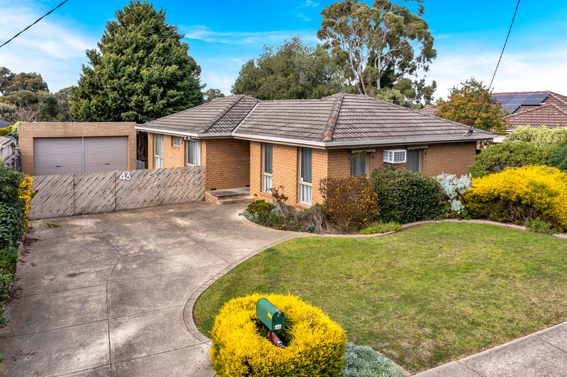 Photo - 43 Hothlyn Drive, Craigieburn VIC 3064 - Image 2