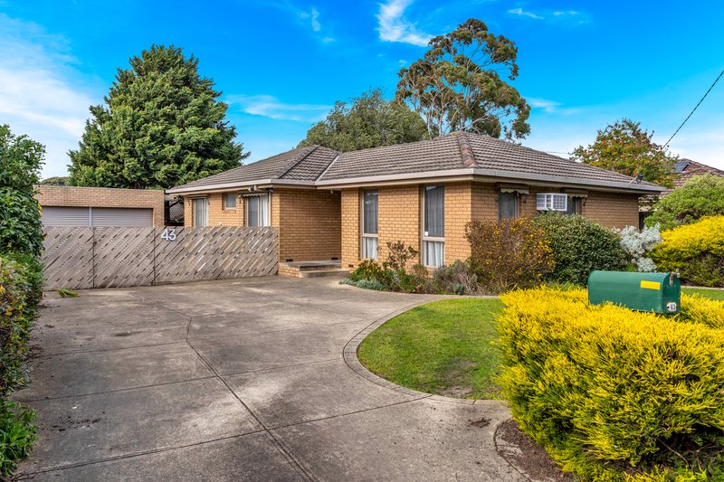 Photo - 43 Hothlyn Drive, Craigieburn VIC 3064 - Image 3