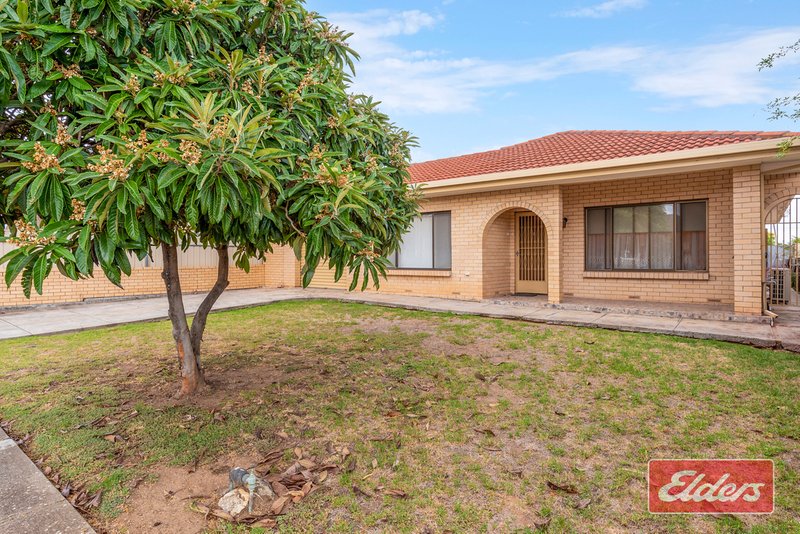 Photo - 43 Jersey Avenue, Kilburn SA 5084 - Image 3