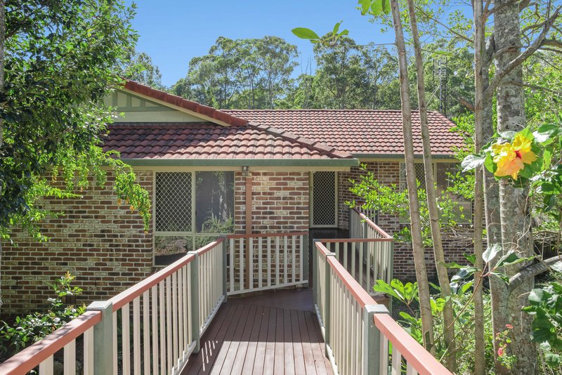 Photo - 43 Karawatha Street, Buderim QLD 4556 - Image 5